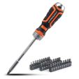 VANQUISH SCHROEVENDRAAIER MET BITS 31STUKS PRO
