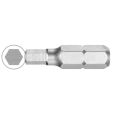 BITS VOOR ZESKANTSCHROEVEN SW 6 - 25 MM - PRIJS PER 10 ST