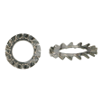 WAAIERVEERRING DIN 6798A M10 A2