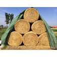 ARTO COVER 140gr/m² 12MX25M