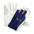 HANDSCHOEN TROPIC NAPPA / 10 (10 PER OVERDOOS)